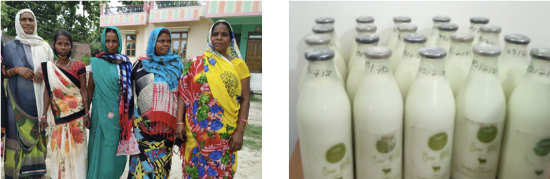 group & curd